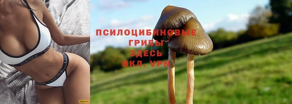 каннабис Вяземский
