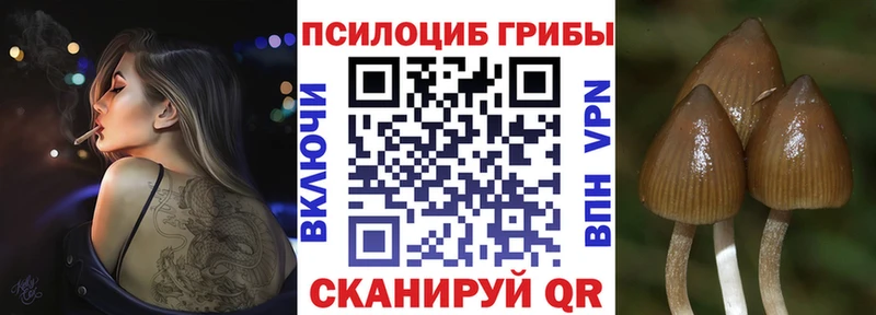Галлюциногенные грибы Cubensis Гаврилов Посад