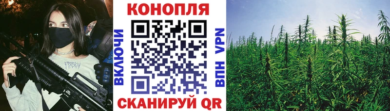 купить   Гаврилов Посад  МАРИХУАНА Ganja 